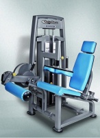 сгибания ног bencarfitness ts-p043