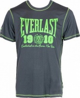 футболка everlast sports brights 1910 серый evr8850 gr